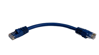 6in CAT5e Cable