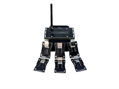 RJ-3P installed on a IGNITE i18 module along side a bunch of 6-cue QuickPlug slats.